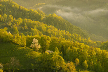 Scenic view of nature landscape over the hills and mountains in Poiana Marului, Brasov County, Romania.