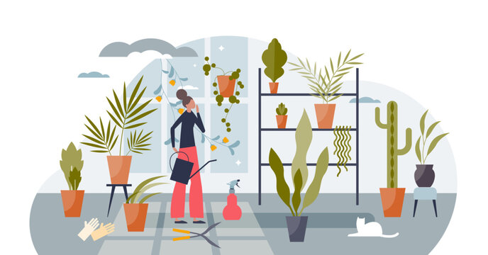 Indoor gardening and flower plant growing as green hobby tiny person concept, transparent background. Modern lifestyle with plant seedling, watering and sapling as part.