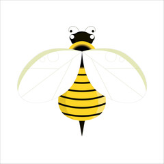 Bee on isolated white background in cartoon style. Bee top view.