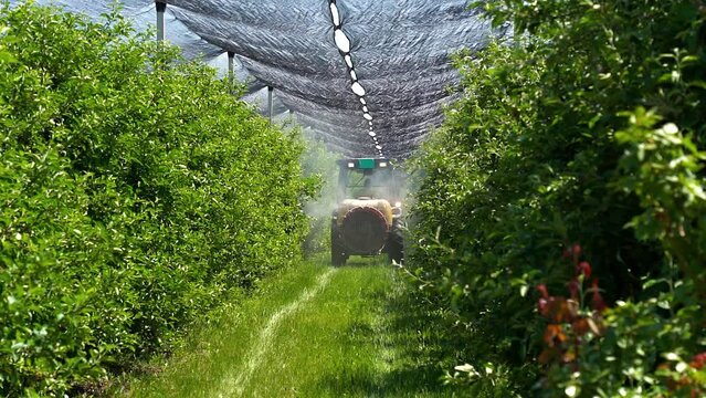 Slow Motion of Tractor Spraying Apple Trees in Springtime. Farmer Driving Tractor Through Apple Orchard. Springtime Apple Tree Spraying with a Tractor Mounted Sprayer.