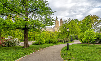 Central Park in spring - obrazy, fototapety, plakaty