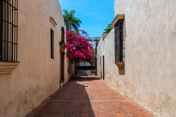 Fototapeta premium Dominican Alleyway
