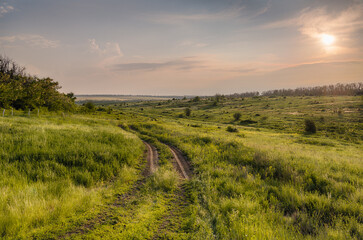 Obraz premium Summer evening on an empty country road.