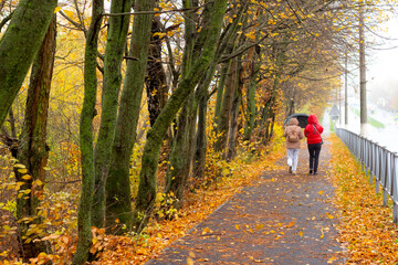 Fototapeta premium A walk in an autumn park. Two women walking along an alley on the outskirts of a city park