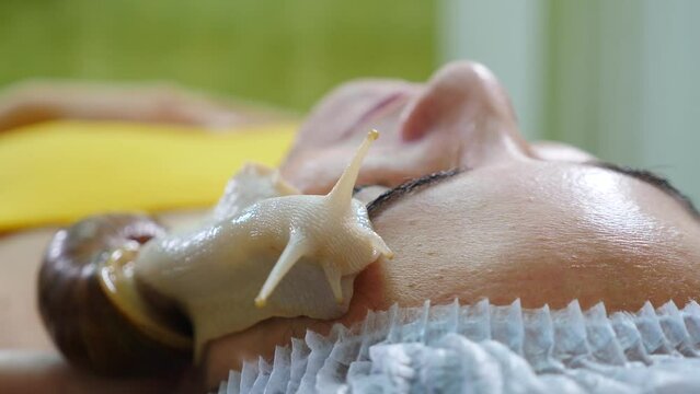 Snails crawling on female face. Skin care at beauty salon. Anti-aging solutions. Snail with mucin muscus for skin treatment. skin rejuvenation. Beauty, wellness and skin care concept. korean medicine