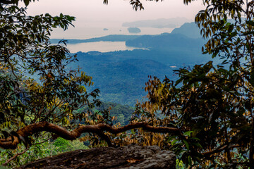 Close-up wallpaper view of nature (mountains, rivers, mangroves), the blurring of the wind blowing through the leaves, the beauty of the ecosystem while traveling