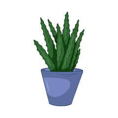 Hand drawn cute summer illustration of growing aloe vera in pot.Flat vector home plant Isolated on white background.
