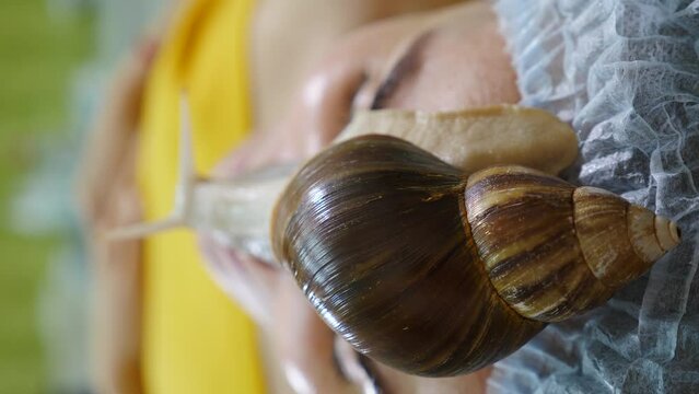 Young woman getting face mask with snail mucus. Popular anti-age korean anti-wrinkle procedure. skin rejuvenation with snails on face during treatment in beauty salon. Snail therapy close-up. 4 k