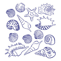 Shells , seashells , shellfish, conch , mollusks , starfish , marine illustration, watercolor illustration , ocean , scallops