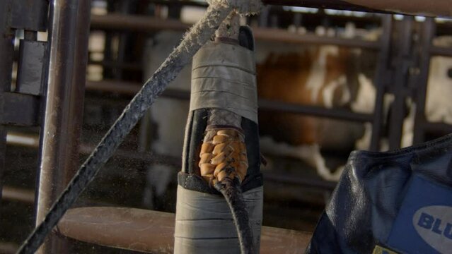 Cowboy warms up bull-riding rosin rope in front of chute by pulling down on it repeatedly,