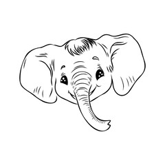 Vector illustration of a cute baby elephant