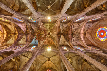 Palma de Mallorca cathedral indoor rooftop arches. Balearic islands. Spain