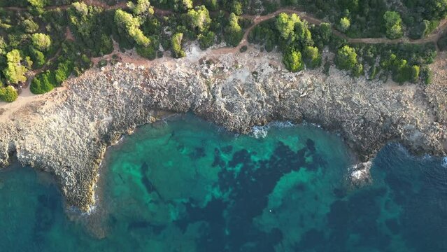 Topdown View Of Rocky Coastline With Crystal Clear Beach Near Sa Coma, Mallorca Spain. Aerial Drone Shot