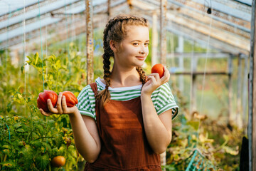 Teenager girl wears overalls with cute hairstyle holding red tomatoes, working in a greenhouse....