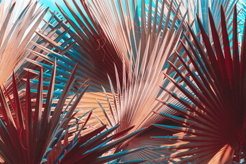 Low key palm leaves dark nature background.