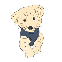 Illustration of a pet dog sitting. Dog with pastel brown color