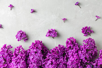 Flower composition. Spring purple lilac flowers on gray concrete background. Flat lay. Top view