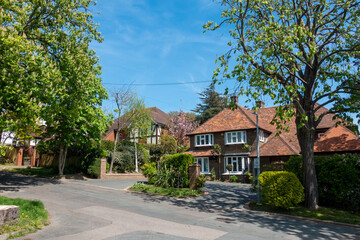 Tree-lined avenue of luxury homes in a small English town on a sunny spring day