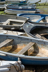 Several small rowing boats tied up on the shore