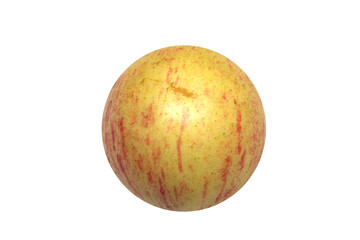 círculo com maçã. maçã isolada. casca da maçã. fruta isolada.