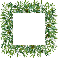 Olive leaves branch, watercolor, frame, illustration invitation