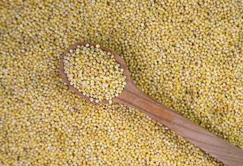 Millet groats in a wooden spoon on scattered grains of millet. Banner. Top view. Close-up. Selective focus.