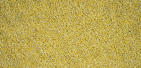 Natural background from millet. Banner. Top view. Close-up. Selective focus.