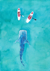 Watercolour painting of  two stand up paddleboarders in the sea with a whale shark