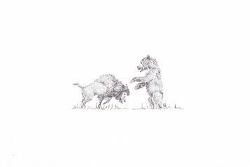 Illustration of an impossible fight between a buffalo and a bear - obrazy, fototapety, plakaty