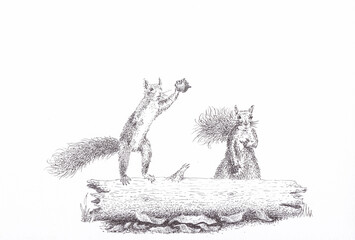 Pen and ink drawing of rude squirrels with attitude