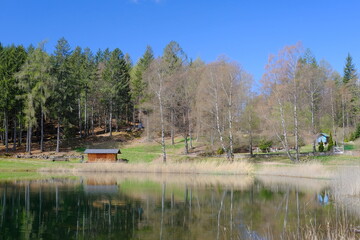 Fototapeta na wymiar Lago di Santo, Trentino