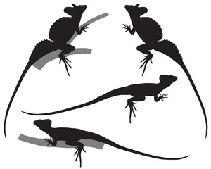 Collection of green basilisk lizard in silhouette image. The species also called plumed basilisk, double crested basilisk, Jesus lizard.