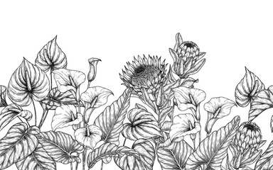 Seamless horizontal pattern garden of tropical flowers. Zantedeschia, protea, anthurium in engraving style