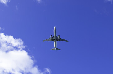 Fototapeta na wymiar 真っ青な青空と飛行機のお腹。青空に白い機体がよく映える。