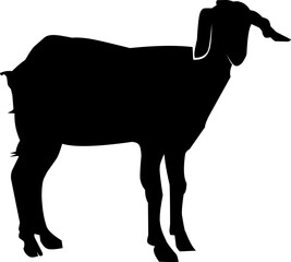 silhouette of a goat