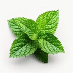 fresh mint leaves created with generative AI