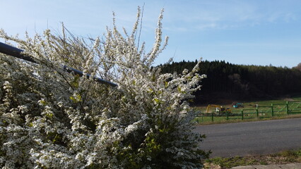 砂防ダム工事現場