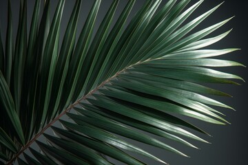 Obraz na płótnie Canvas Transparent background palm leaf for tropical designs. Generative AI