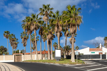 Fototapeta na wymiar Palmen in einer Ferienanlage in Los Abrigos, Teneriffa
