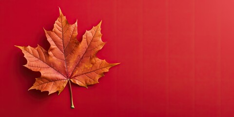 Fototapeta premium autumn leaf, chestnut, pumpkin with generative ai