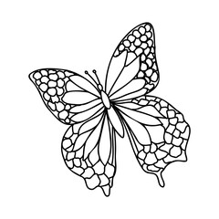 Cute insect butterfly. Doodle style, black and white background. Funny animal, coloring book pages. Hand drawn illustration in zentangle style for children and adults, tattoo.