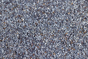 a close-up of a pile of poppy seeds used in cooking