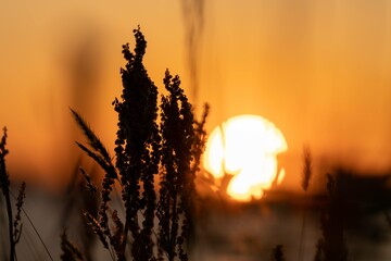 幻想的な夕暮れ時