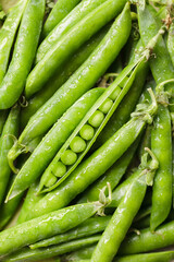 Pods of green peas with water drops. Fresh food background