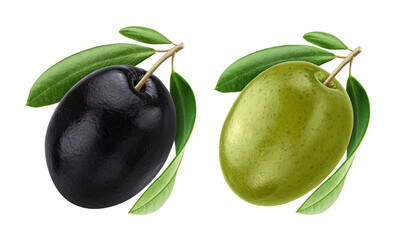 Black and green olives isolated on white background