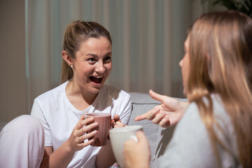 Obraz na płótnie Canvas Happy young woman talking with friend on sofa