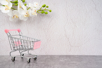 Fototapete bei efototapeten.de bestellen   