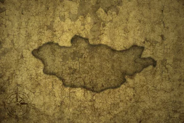 Foto auf Acrylglas Alte schmutzige strukturierte Wand map of mongolia on a old vintage crack paper background .