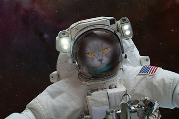 Cat Astronaut in outer space with Spacewalk. 