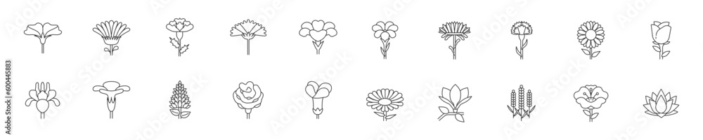 Poster set of different flowers icon set. premium quality objects. editable strokes. vector.